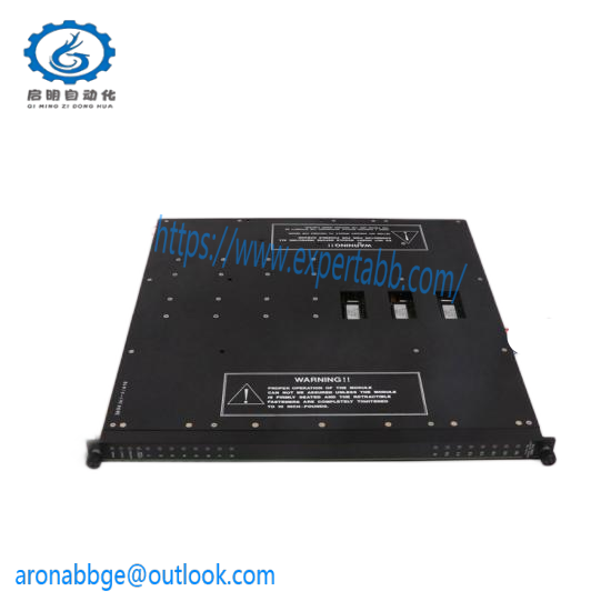 Triconex Terminal Panel for 2652-5 7400058-350