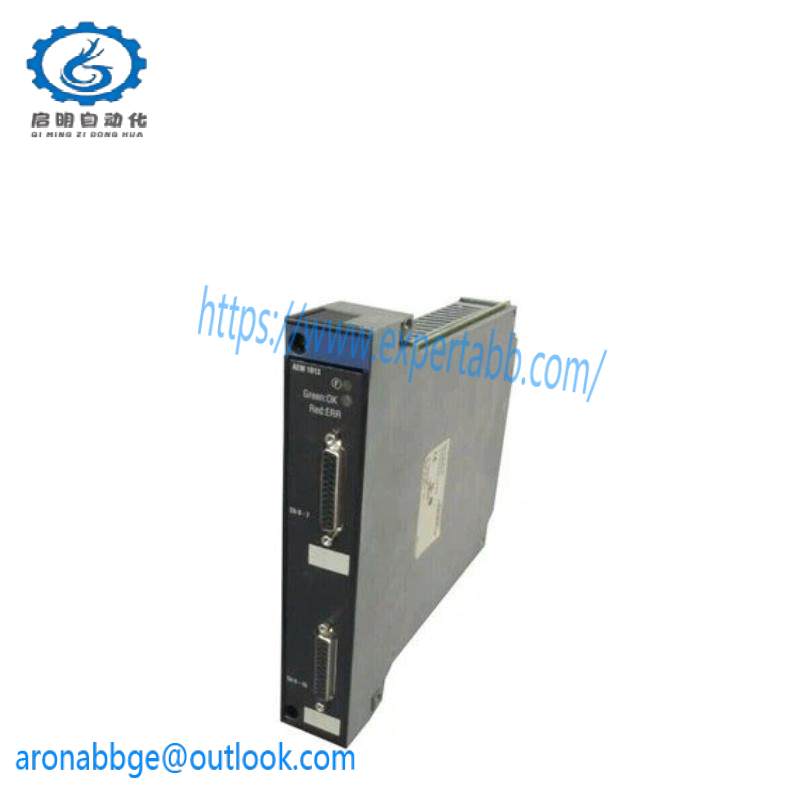 Schneider TSXAEM1613 TSX-AEM1613 Input Module