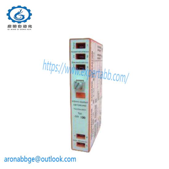 Vibro-Meter GSI130 244-130-000-204 Galvanic Separation Unit