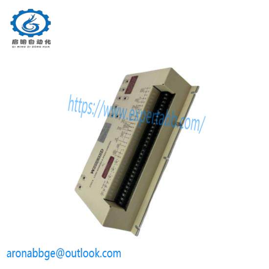 woodward TG-13 8516-038
