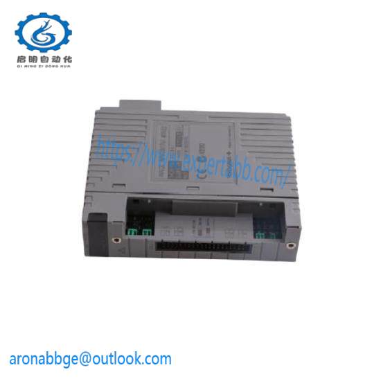 Yokogawa AAI841-H00  Analog I/O Module