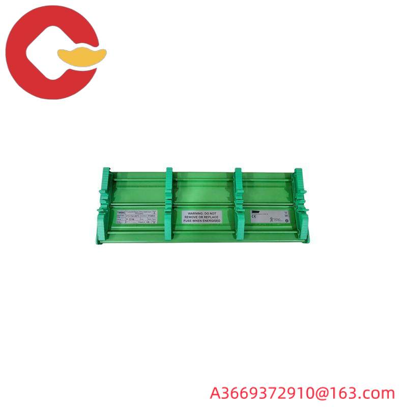 ICS Triplex T8800C Digital Input FTA