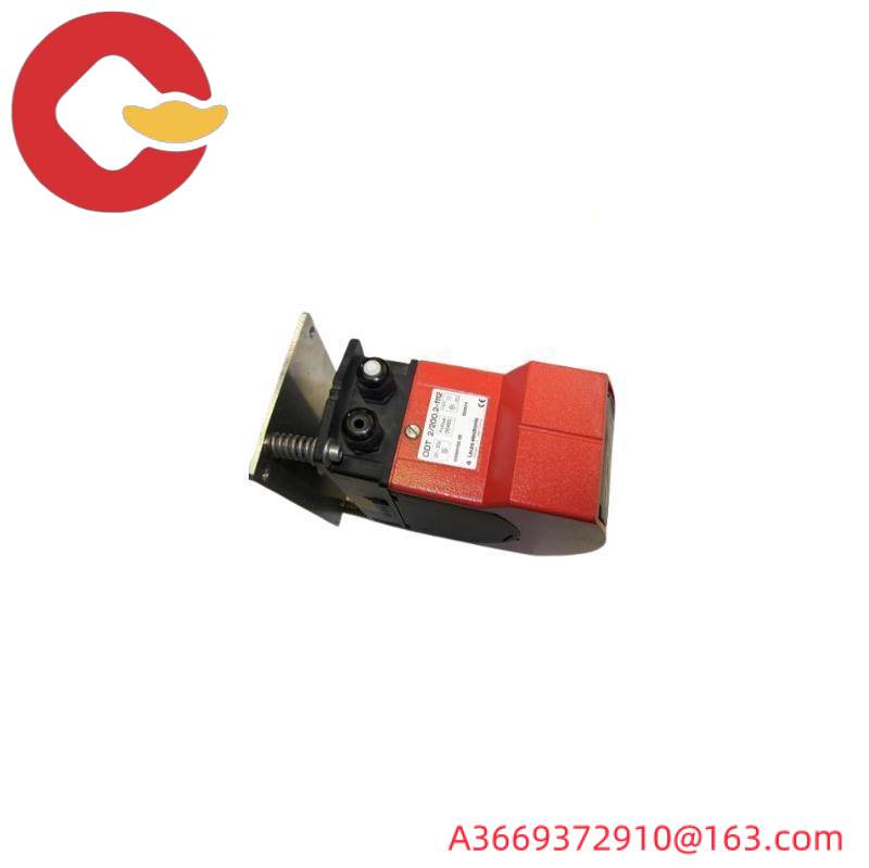 LEUZE DDLS 50125768