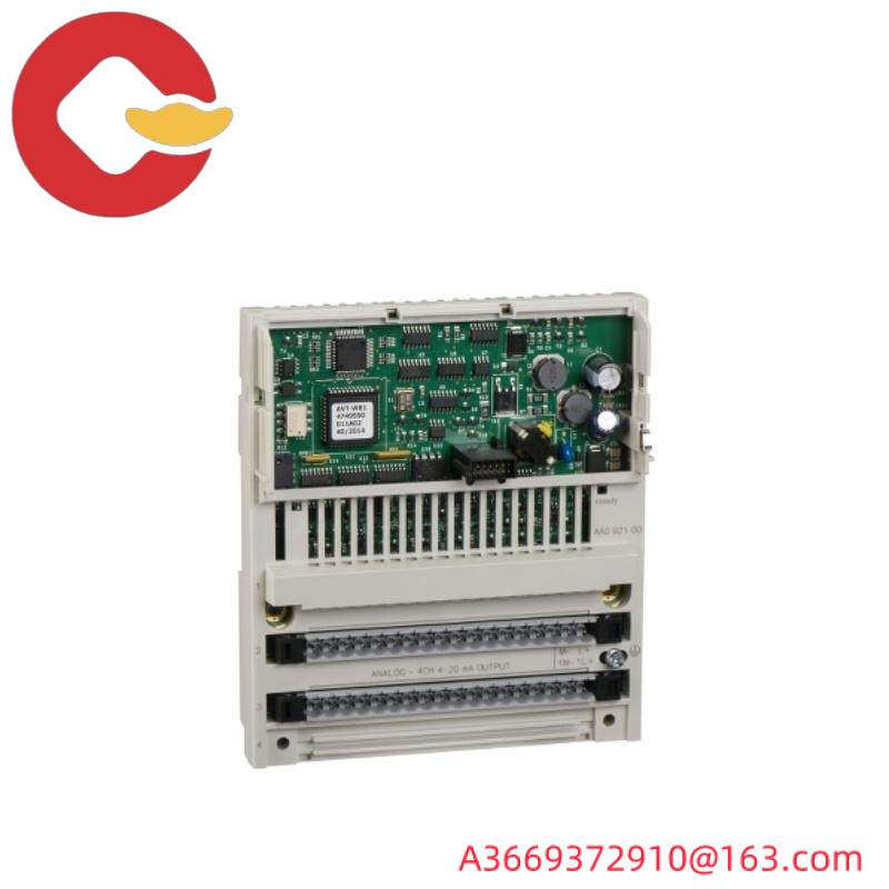 Schneider 170AAO92100 Analog Output