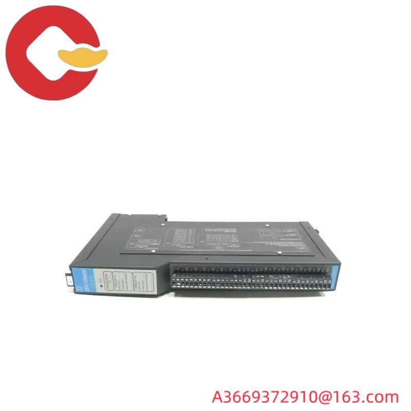 Square D SY/MAX 8030-RIM125 Analog Input