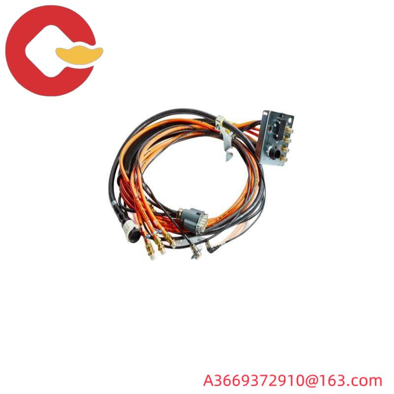 TRICONEX 2481