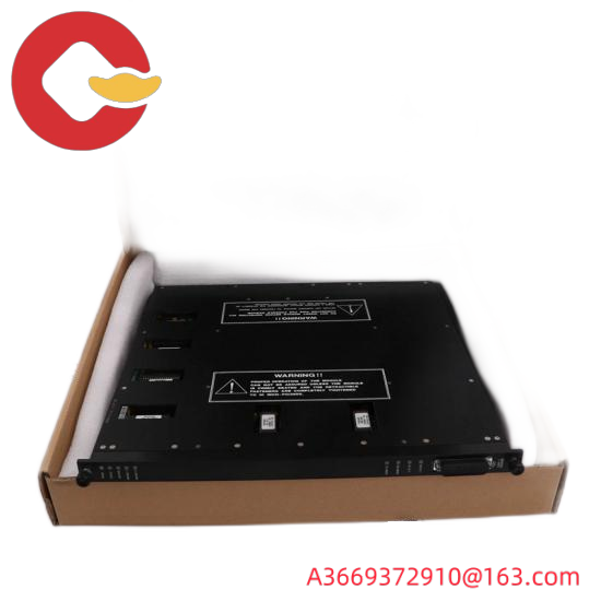 TRICONEX MP6004