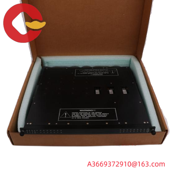 TRICONEX MP6004