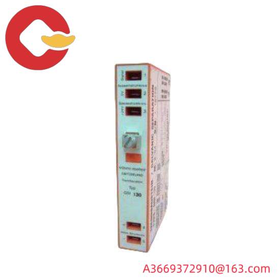 VIBRO-METER VM600-CSA 204-040-100-211