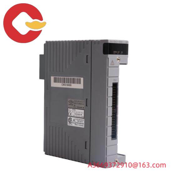 Yokogawa AAI543 Analog Output Module