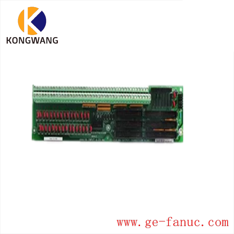 GE DS200TCQAG1ADC Analog Input Module