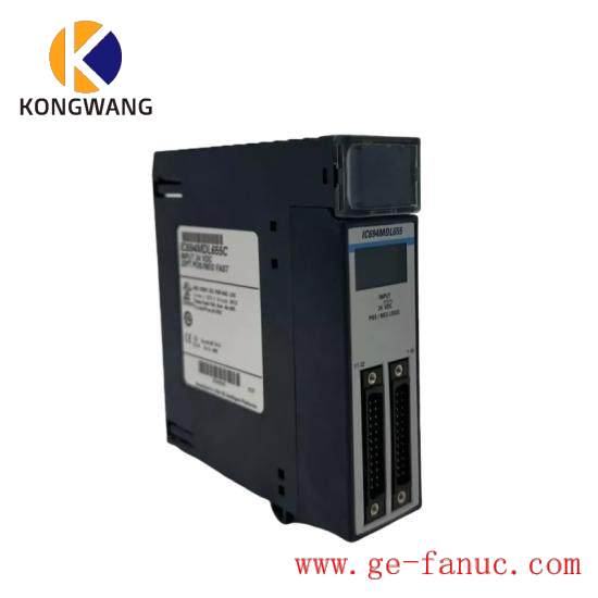 GE FANUC IC694MDL655 Input module