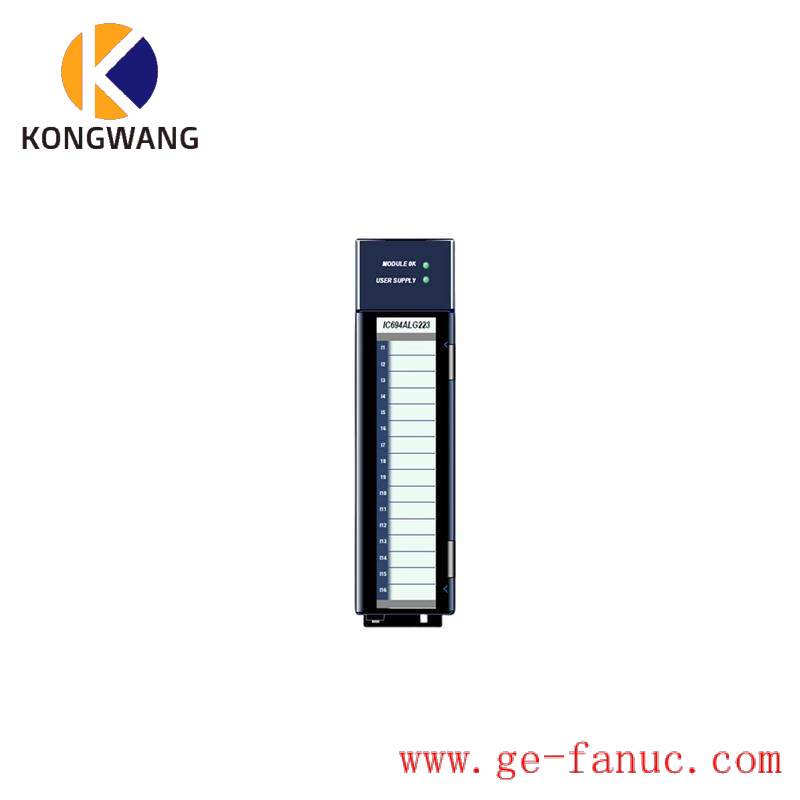 GE IC694ALG223 INPUT MODULE