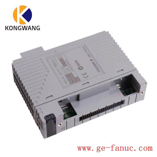 Yokogawa AAI543 Analog Output Module