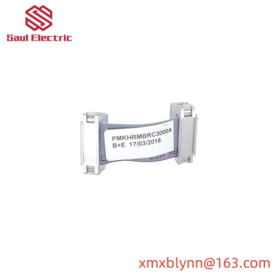 ABB BRC300