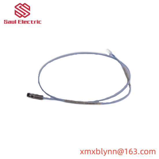 Bently Nevada 300103-A00-B09-C10-D02-E0