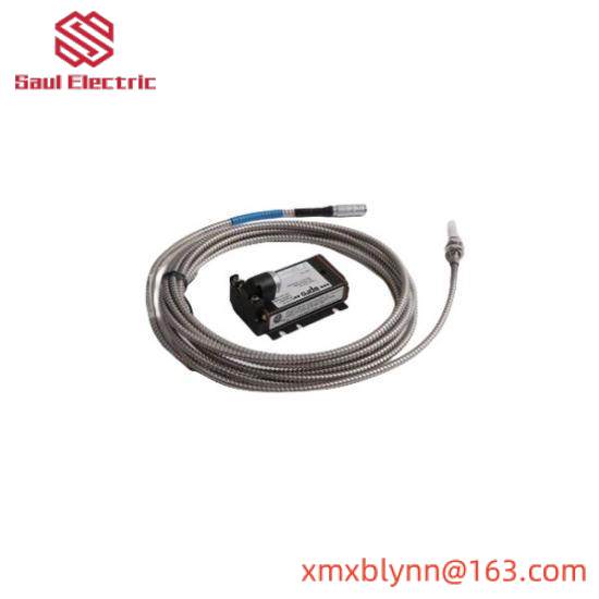 EMERSON VE4001S2T2B4  DeltaV System