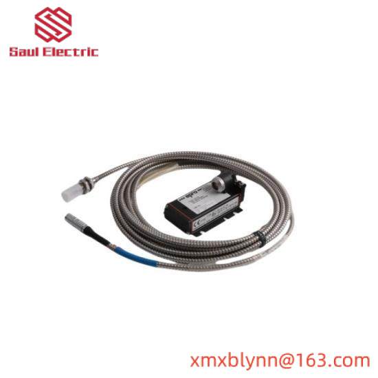 Emerson 1C31174G01