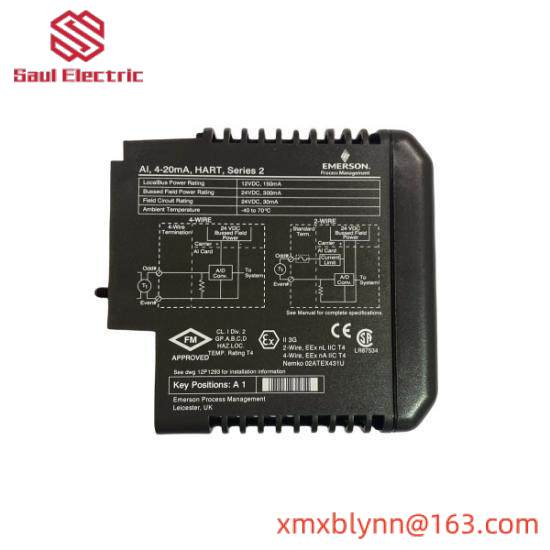Emerson VE4003S2B2 DeltaV Analog Input Module