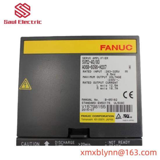 Fanuc A06B-6096-H207  GE Servo Module