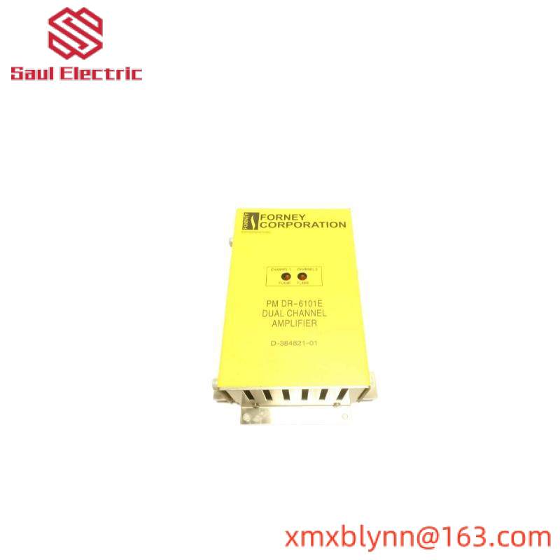 FORNEY RM DR6101E Dual Range Flame Amplifier