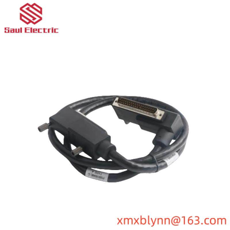Foxboro P0916WE TERMINATION CABLE