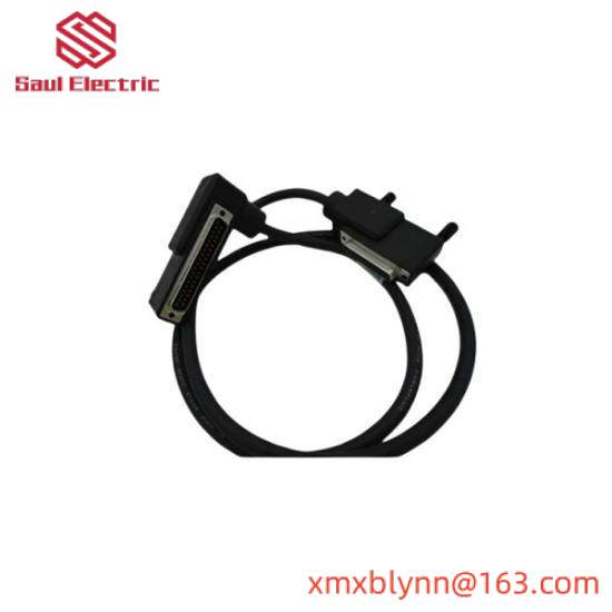 Foxboro RH916DB  Termination Cable