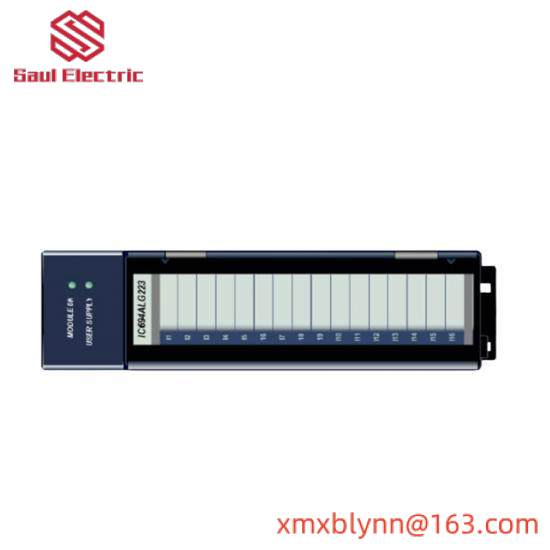 GE FANUC IC694ALG223