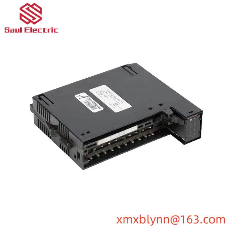 GE IC693MDL241 Positive/Negative Input module
