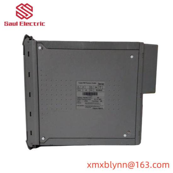 ICS TRIPLEX T8110C