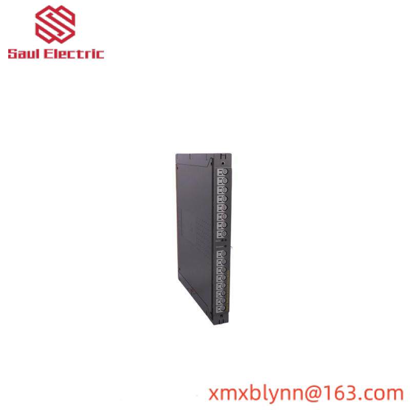 ICS TRIPLEX T8451 Module