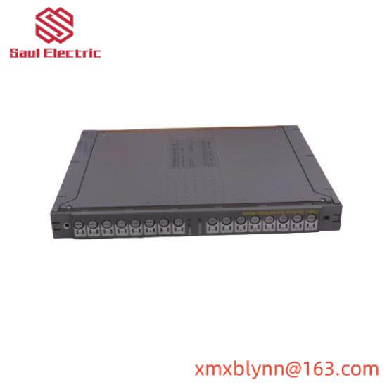 ICS TRIPLEX TC-301-02-2M0