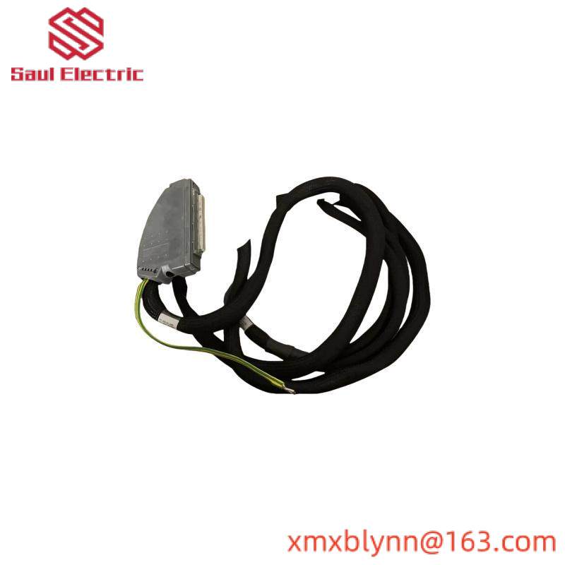 ICS TRIPLEX TC-801-02-4M5
