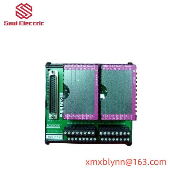 P0916JT  I/A Series Module  Foxboro
