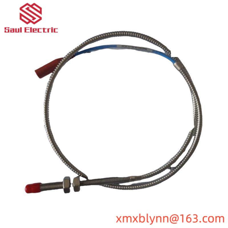 ProvibTech TM0180-A08-B00-C12-D10 Vibration probe/sensor