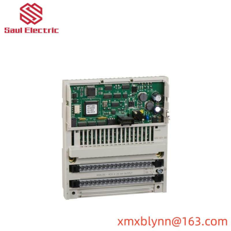 Schneider 170AAO92100 Analog Output