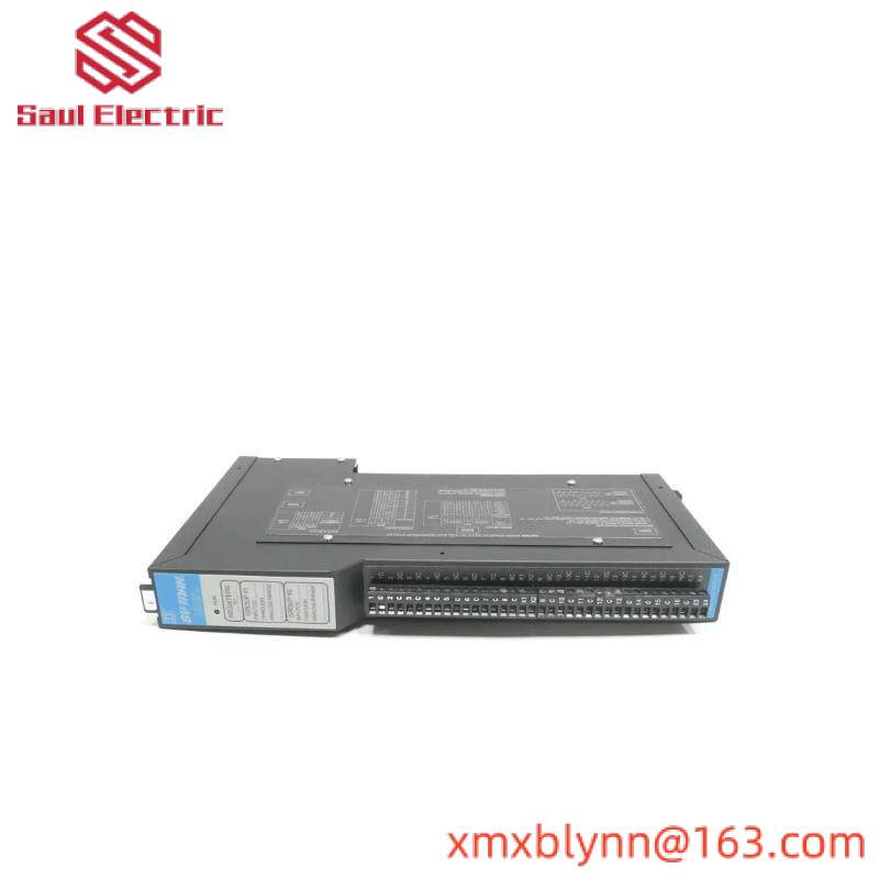 Square D SY/MAX 8030-RIM125 Analog Input