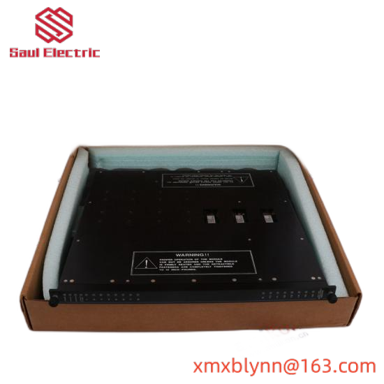 Triconex 4200N Remote Extender Module
