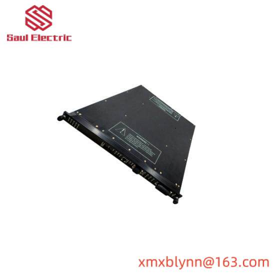 TRICONEX 9563-810