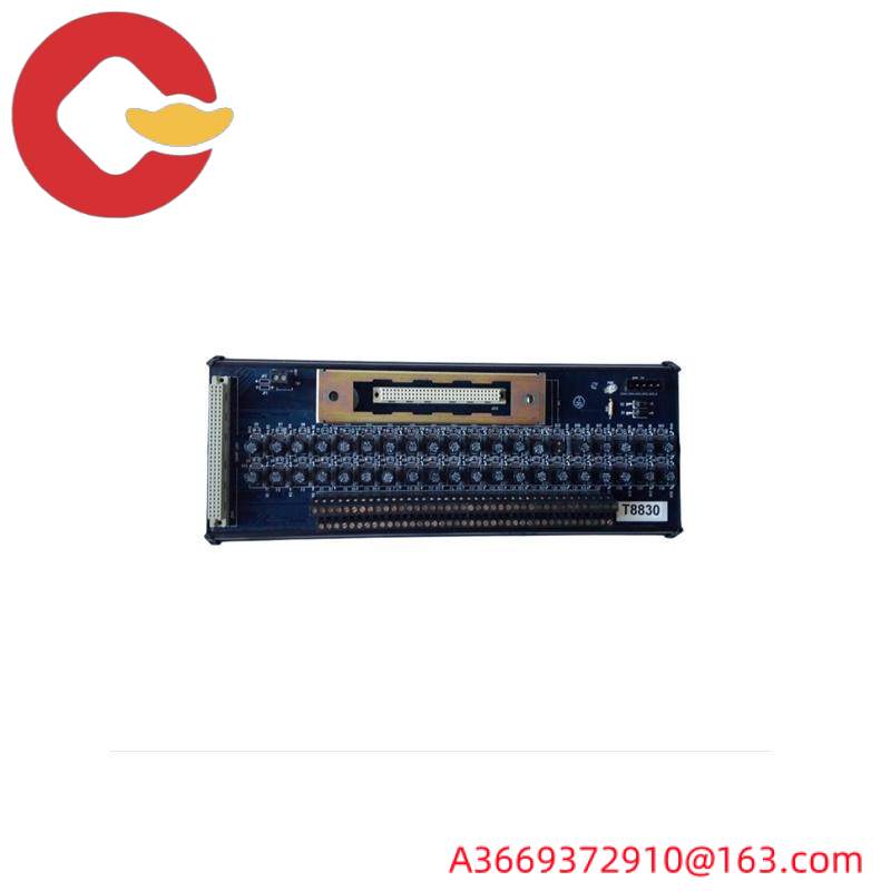 ICS TRIPLEX T8191