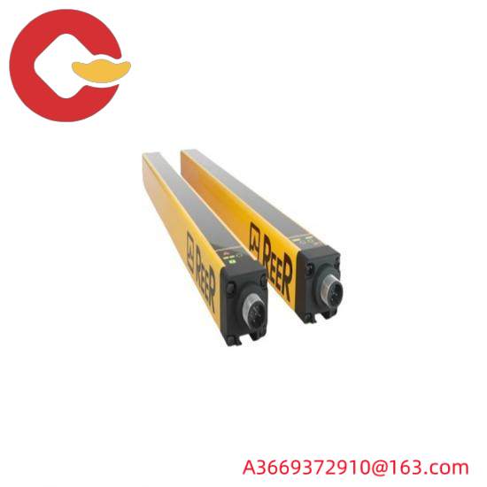 REER 8040430
