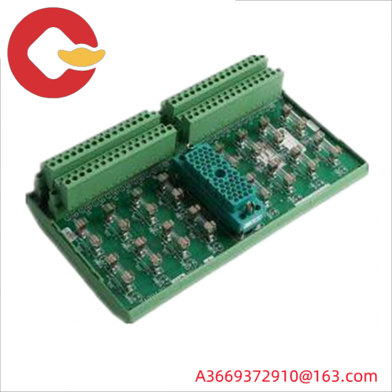 TRICONEX 9561-810