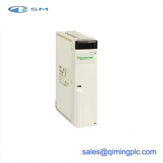 SCHNEIDER AS-BDAP-218