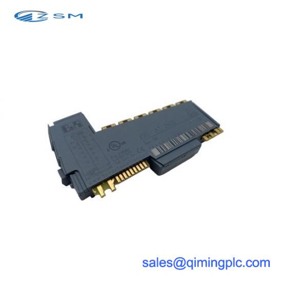 TRICONEX 2402