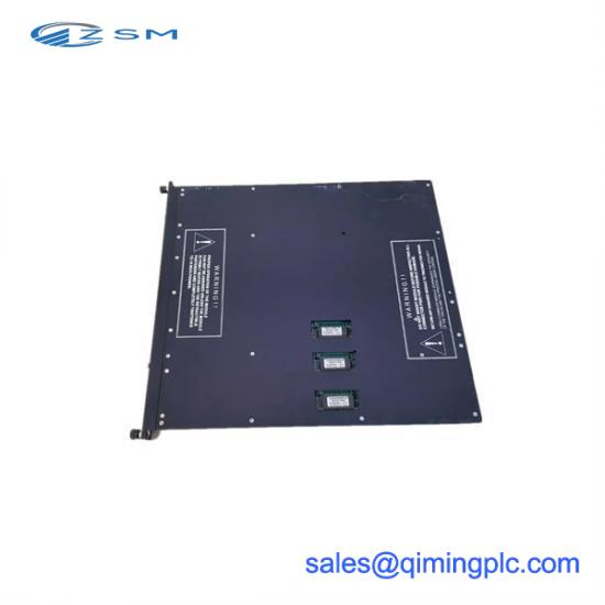 TRICONEX 9563-810