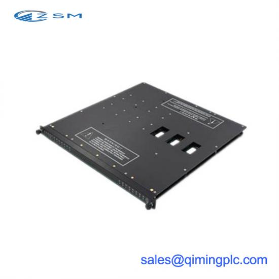 TRICONEX AO2481