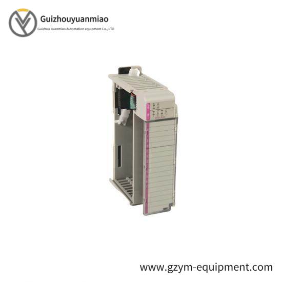 1769-BOOLEAN 24V dc combination input/output module