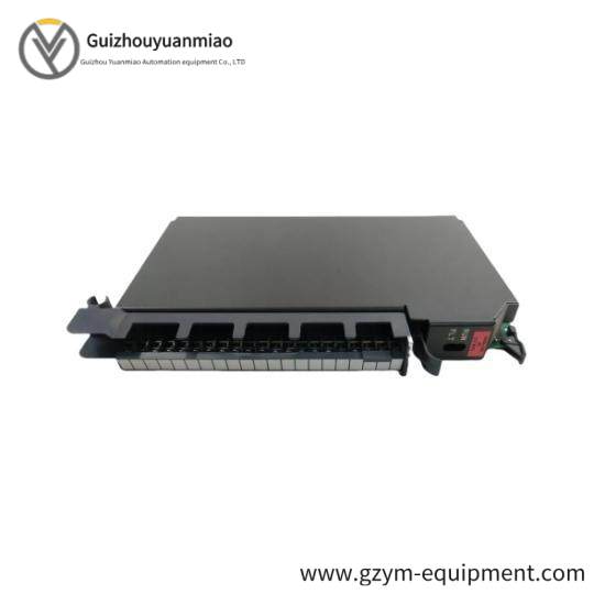 1771-IFF  1771IFF Analog Input Module
