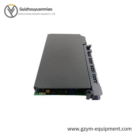 1771-IFF  1771IFF Analog Input Module