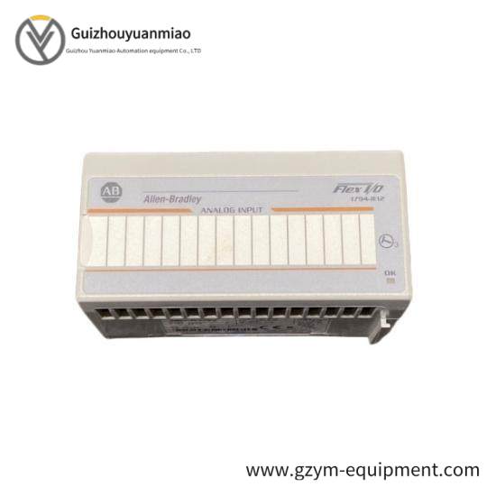 1794-IE12 61621045 Analog Isolated Output Module